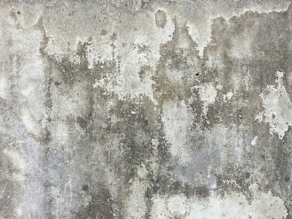 Foundation & Structural Damage